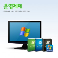 OS 설치 및 드라이버 설치비